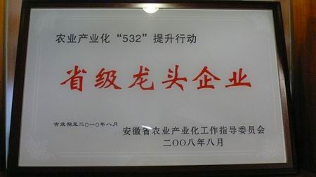 燕莊油脂被評(píng)為“省級(jí)龍頭企業(yè)”