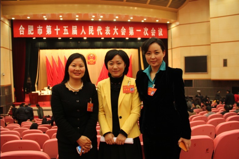 合肥市第十五屆人大代表與人大常委劉燕董事長(zhǎng)（右一）合影